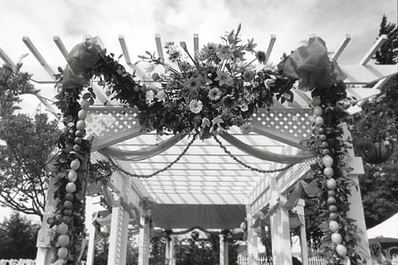 fruit and arch