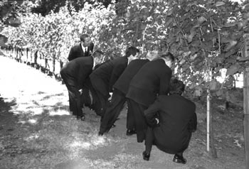 men peeking