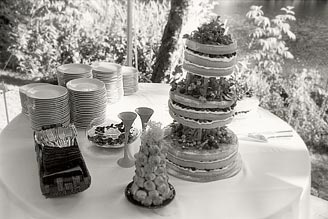 Tipping cake